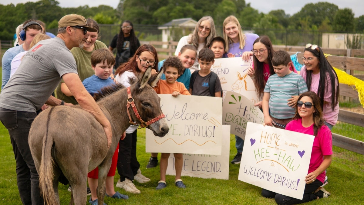 Darius the Donkey at Pediatrics Plus farm