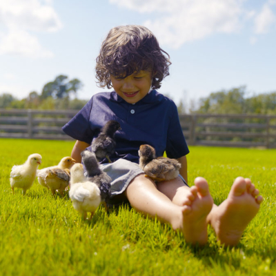 farm-slider-6
